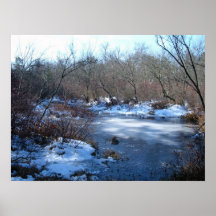 Wetland Ponds In Winter Poster