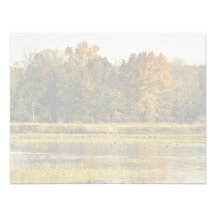 Wetland with autumn trees and ducks invites