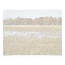 Wetland with autumn trees and ducks rising personalized invites