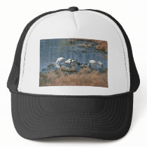 Wetlands, Bombay Hook National Wildlife Refuge Trucker Hat