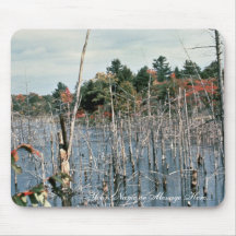 Wetlands Mouse Pad