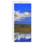 Wetlands Reflection Customized Rack Card