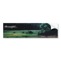 Wetlands with Buffalo Bumper Sticker