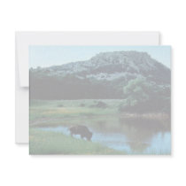 Wetlands with Buffalo Invitation