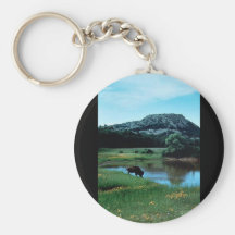 Wetlands with Buffalo Keychains
