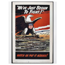 We've Just Begun To Fight! Custom Flyer
