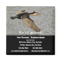 We've moved announcement fridge magnet