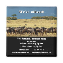 We've moved announcement refrigerator magnet
