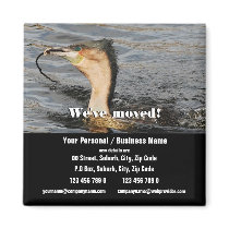We've moved announcement refrigerator magnet