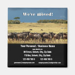 We've moved announcement refrigerator magnet