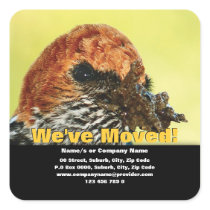 We've moved announcement template