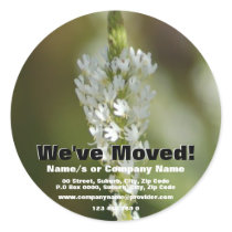 We've moved