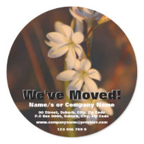 We've moved