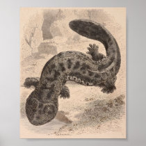 WH Freeman - The Great Japanese Salamander P/folio Print