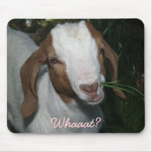 Whaaat? Goat Mousepad