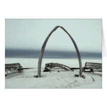 Whale Bone Rib Arc and Skin Boat Frames at Barrow, Cards