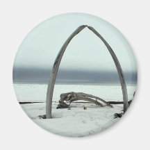 Whale Bone Rib Arc and Skin Boat Frames at Barrow, Magnet
