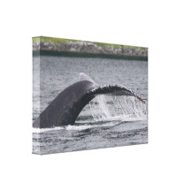 whale gallery wrap canvas