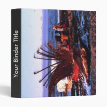 Whale Killer Vinyl Binders