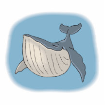 whale photo cutouts
