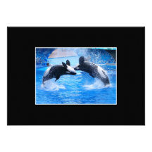 Whale Photo Invitation