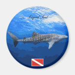 Whale Shark Magnets Imas