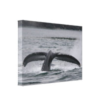 whale stretched canvas print