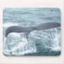 whale tail mouse pads