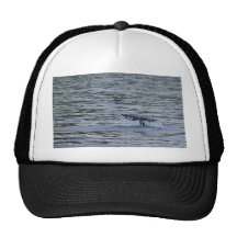 Whale Tail Trucker Hat