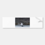 Whale Tale Bumper Stickers