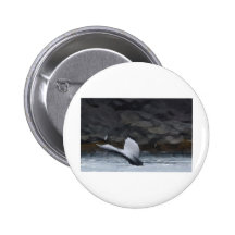 Whale Tale Pinback Button