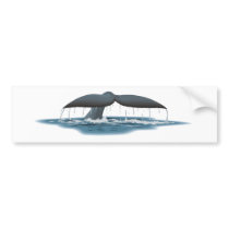 Whale Watcher Bumper Stickers