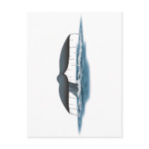 Whale Watcher Post Card