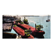 Whalebacks at Belle Isle, Michigan Picture Card