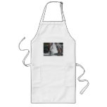 whales aprons