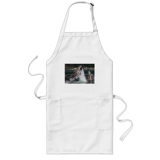 whales aprons