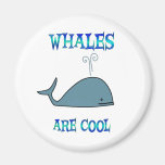 Whales are Cool Fridge Magnet