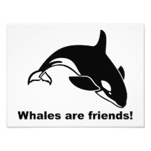 Whales Are Friends Photo Print