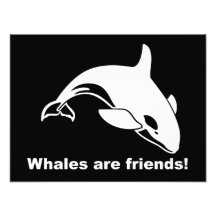 Whales Are Friends Photograph