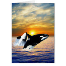 Whales at sunset card