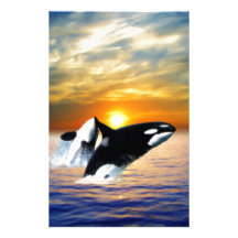 Whales at sunset customized stationery