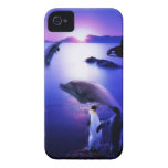 Whales dolphins penguins ocean sunset iPhone 4 covers