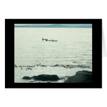 Whales in the mist greeting card