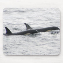 whales mouse pads
