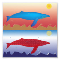 Whales Photo Print