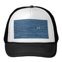 Whales Tails Ocean Trucker Hat