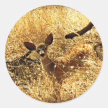 "What a Little Doll" Fawn Round Stickers