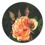 What a Peach 014 Round Sticker
