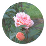 What a Peach  022 Stickers