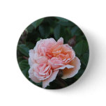 What a Peach 024 Button